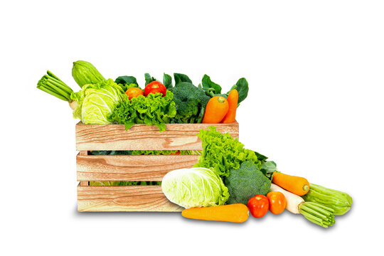 Banner design concept of fresh organic and vegetables png