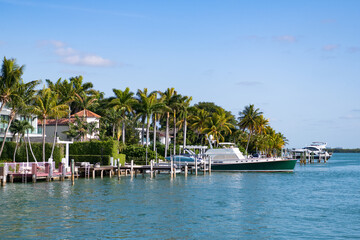 summer skyline landscape with palm trees and yacht