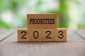 Priorities 2023 text engraved on wooden blocks with blurred park background. New year concept