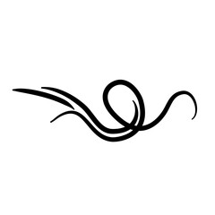 Vintage swirl flourish