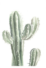 Watercolor cactus on a white background. Handmade. Perfect for your project, wedding, print, birthday, wallpapers, patterns, invitations, scrapbooks and more.