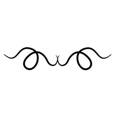 Vintage swirl flourish text divider