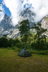 Wild camping, tent on nature Norway mountains with tree in green garden or forest for holiday relax and vacation travel trip to trekking picnic on meadow grass