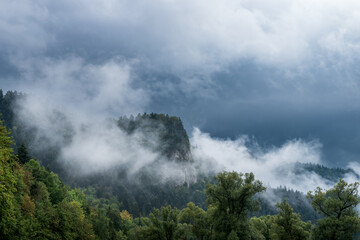 Rocky peak of the mountain covered with forest and surrounded by clouds. Rainy, foggy day in Pieniny National Park, Poland.