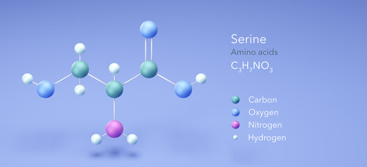 serine, molecular structures, amino acid, 3d model, Structural Chemical Formula and Atoms with Color Coding