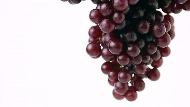 Rotation of Champagne grapes isolated on white background.Champagne grapes are very small, growing in tightly packed clusters. The seedless berries are a dark red, Fruits concept