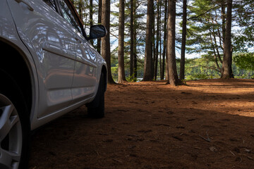 Car SUV truck standing parked in the coniferous pine forest looking over the lake. Shot at low angle on  sunny summer day, blue sky, blurred background.