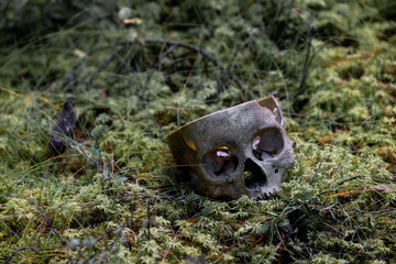 Fake human skull. Decorative skull. An artificial human skull lie on the ground in the forest. Moss. Ecological concept