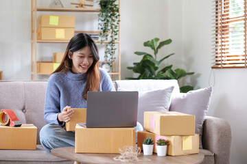Starting Small business entrepreneur freelance, Portrait young woman working at home office, BOX,...