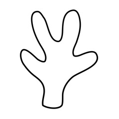 Cactus suculent decoration