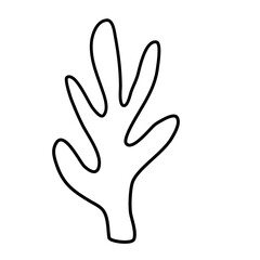 Cactus suculent decoration