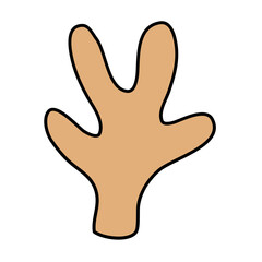 Cactus suculent decoration