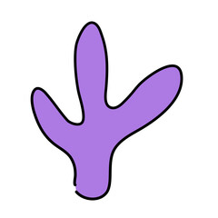 Cactus suculent decoration