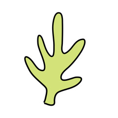 Cactus suculent decoration