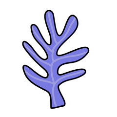 Obraz premium Cactus suculent decoration