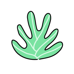 Obraz premium Cactus suculent decoration