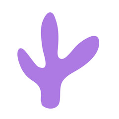 Cactus suculent decoration