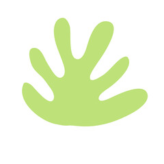 Cactus suculent decoration