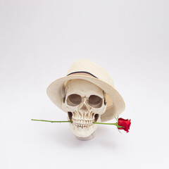 Realistic human skull with straw hat and red rose in its mouth. Aesthetic love, Valentine's Day or Halloween concept.