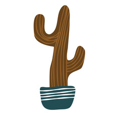 Cactus suculent decoration