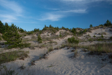 Large sand dunes at Pinery Provincial Park by Lake Huron in Ontario Canada. Sunny day, blue sky. 