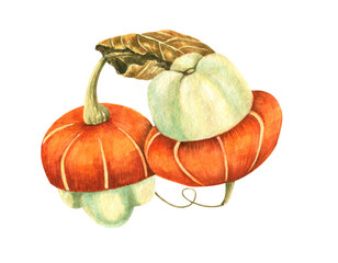 pumpkins watercolor