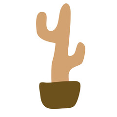 Cactus suculent decoration