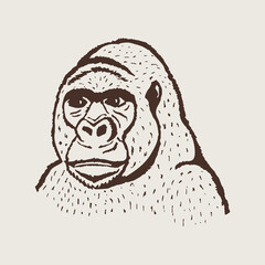 Animal gorilla painted in manual technique. Vector illustration for printing on fabric, clothing, creating logos for all types of products.