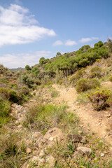 Landscapes around Mertola, Portugal