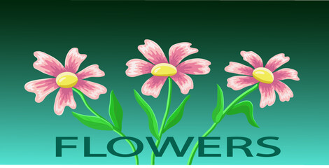 Three pink lilac flowers on a dark green background with the inscription FLOWERS. Vector illustration. Print on fabric. Pictures for children. Nature and flora. Decor for panels. Interior design.