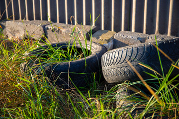 old car tires overgrown with vegetation