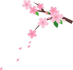 Cartoon nature botanic garden plant flower pink sakura cherry blossom