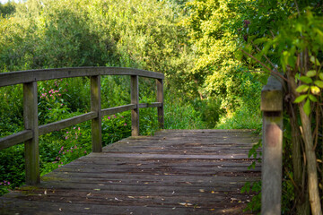 Fototapeta na wymiar Wooden bridge in the forest over a small stream