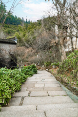Obraz premium stone path in the park