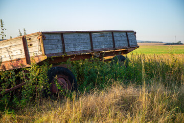Old farmers trailer overgrown with vegetation in autumn