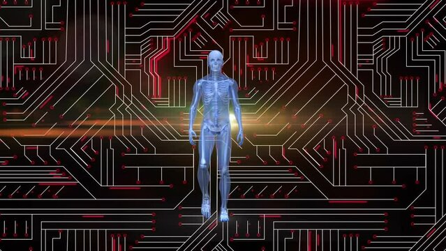 Animation of data processing and human body model over dark background