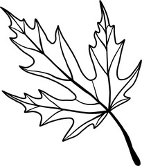 Fototapeta premium simplicity maple leaf freehand drawing flat design.