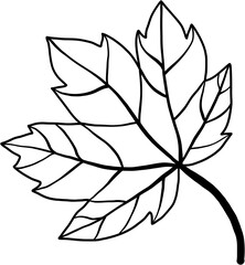 simplicity maple leaf freehand drawing flat design.