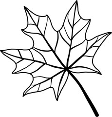 simplicity maple leaf freehand drawing flat design.