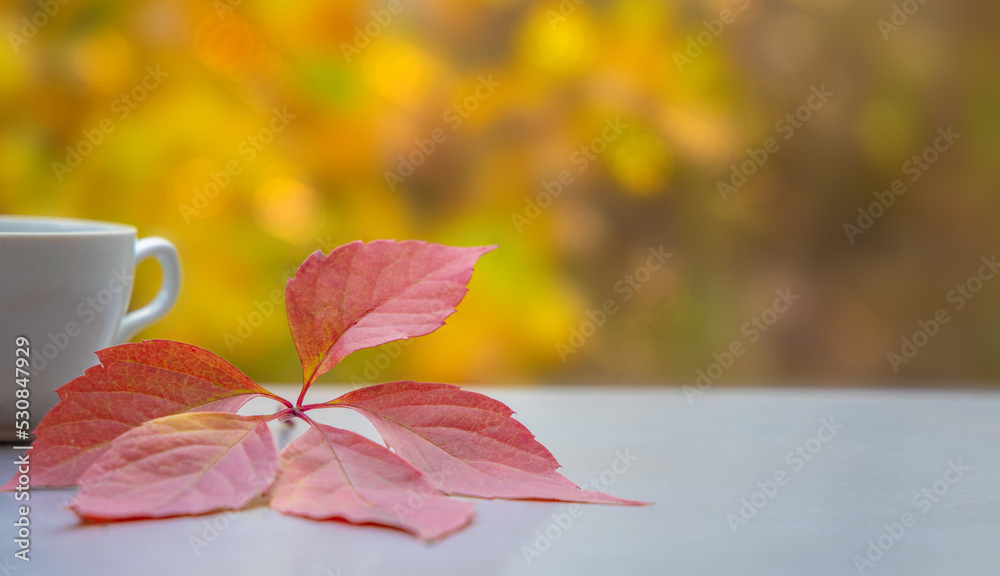 Wall mural cup of coffee with red fallen leaves on natural background of autumn foliage with copy space. close-