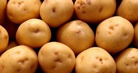 Pile of potatoes gathered together at grocery on display