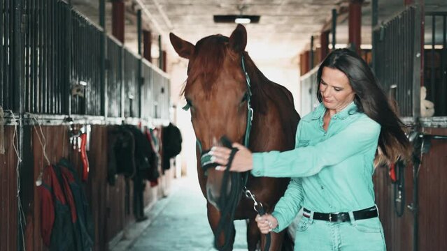 Woman taking care of her horse in stable
