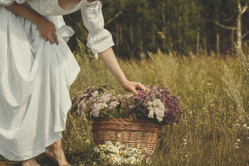 Faceless barefoot woman in vintage white dress bend over to the basket of herbs on the edge of the...