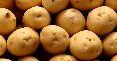 Pile of potatoes gathered together at grocery on display