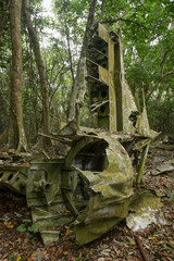 Wreck of a B-17 WWII American bomber plane, crashed in the jungle, Luganville, Espiritu Santo Island, Vanuatu