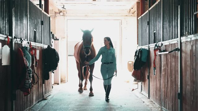 Woman taking care of her horse in stable
