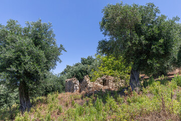 Ruins of an old house near Afionas on the island of Corfu