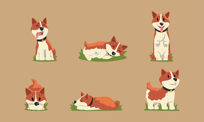 Funny Welsh Corgi Dog with Brown Coat and Collar on Green Grass Vector Set
