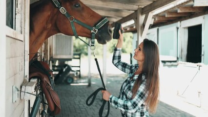 Woman taking care of her horse in stable
