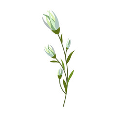 Spring flowers. Floral vector drawing. For use in decor, postcards, flower shops, brochures and covers, prints.